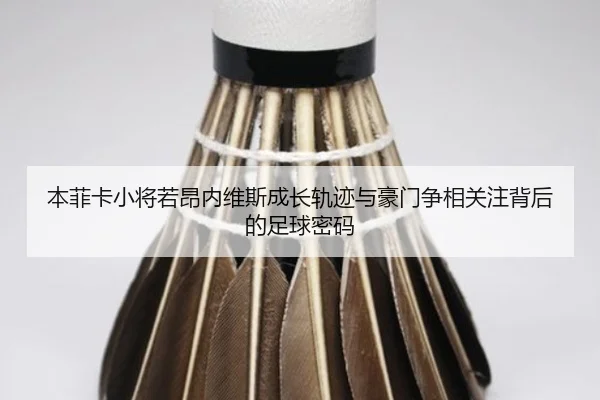 本菲卡小将若昂内维斯成长轨迹与豪门争相关注背后的足球密码