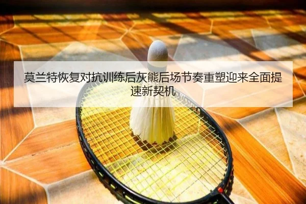 莫兰特恢复对抗训练后灰熊后场节奏重塑迎来全面提速新契机